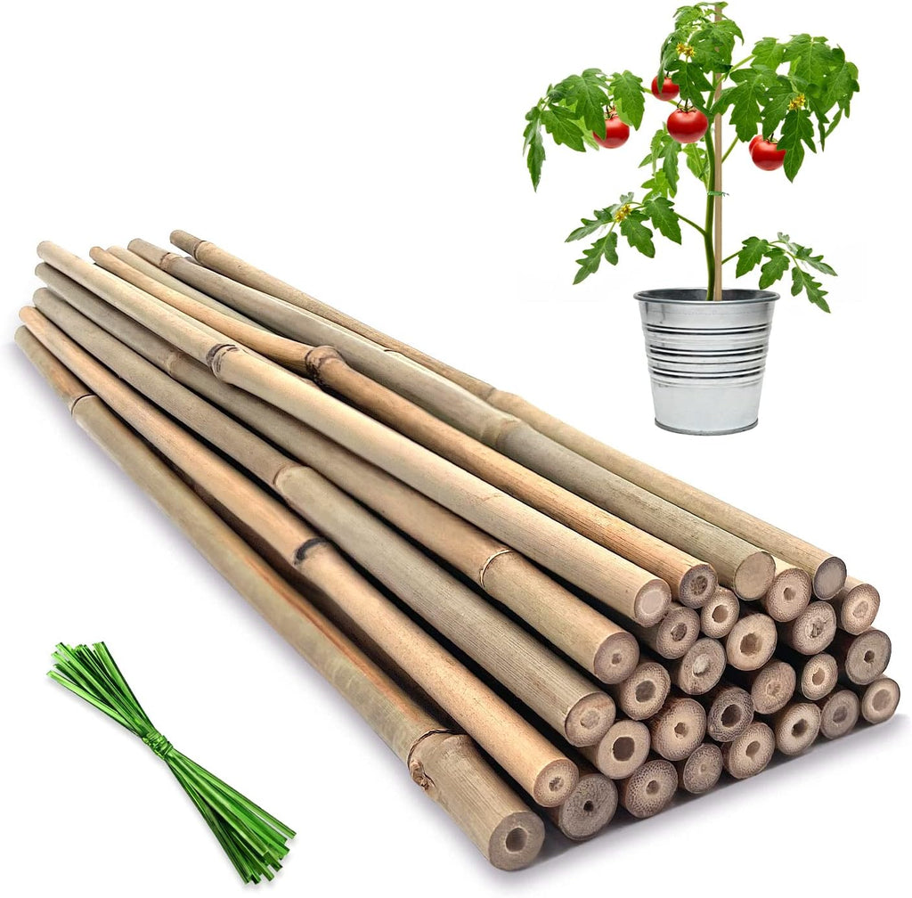 Plant Stakes,16 Inches Natural Garden Bamboo Sticks,BOVITRO 20Pcs Plant Support Stakes for Tomatoes,Beans,Vegetable and Potted Plants