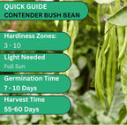 Woods Creek Seeds: Contender Bush Bean Seeds for Planting - Non-GMO Green Bean Seeds for Planting - Tender Stringless Variety - USA Grown Heirloom Bush Beans Vegetable Seed for Outdoors and Indoors