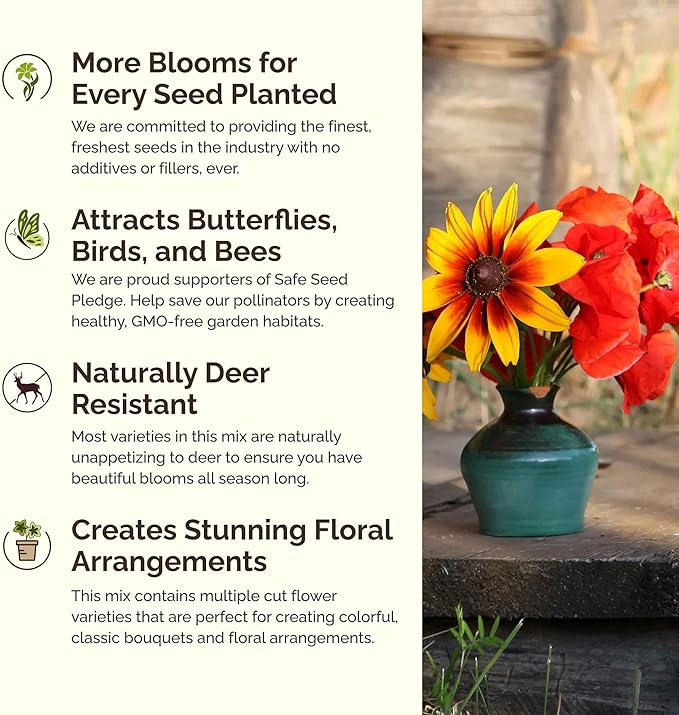 Eden Brothers New York Wildflower Mixed Seeds for Planting, 1/4 lb, 120,000+ Seeds with Coneflower, Cosmos | Attracts Pollinators, Plant in Spring or Fall, Zones