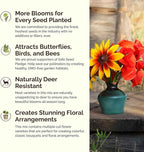 Eden Brothers New York Wildflower Mixed Seeds for Planting, 1 lb, 480,000+ Seeds with Coneflower, Cosmos | Attracts Pollinators, Plant in Spring or Fall, Zones