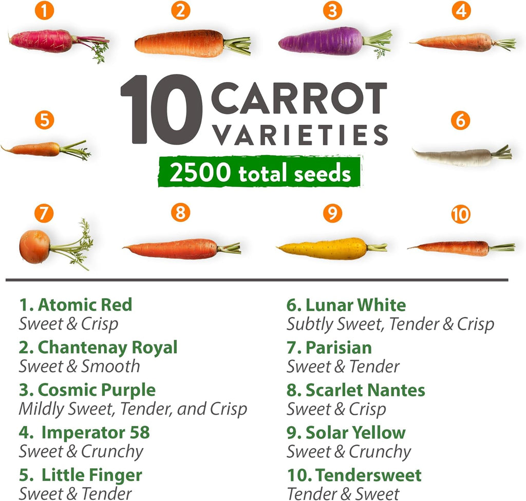 HOME GROWN 𝗨𝗦𝗔 𝗣𝗥𝗘𝗠𝗜𝗨𝗠 Rainbow Carrot Seeds – 2500+ Heirloom Seeds (10 Varieties) – High Germination, 𝗡𝗢𝗡-𝗚𝗠𝗢 Vegetable Seeds for Planting Indoors or Outdoor Home Garden