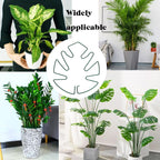 Spiritlele 5 Pcs Green Plant Stem Support Holder Set Monstera Plant Support Clamp Growth Accessories for Indoor Plants Big