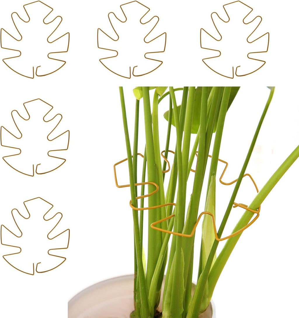 Spiritlele 5 Pcs Golden Plant Stem Support Holder Set Monstera Plant Support Clamp Growth Accessories for Indoor Plants Small