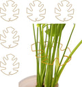 Spiritlele 5 Pcs Golden Plant Stem Support Holder Set Monstera Plant Support Clamp Growth Accessories for Indoor Plants Small