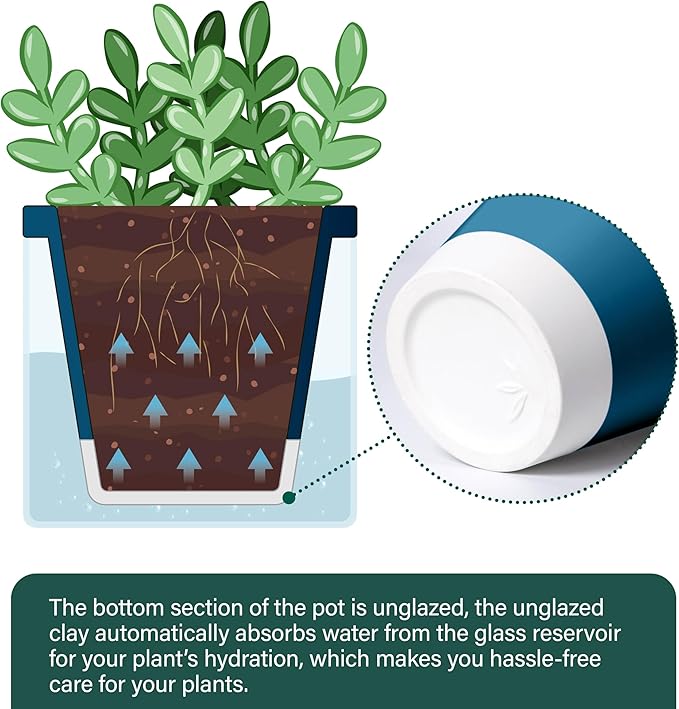 D'vine Dev 4 Inch Design Self Watering Planter for Indoor Plants, Blue Terracotta Pot with Cylinder Glass Cup, Set of 3, 37-Z-A-4-T