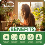 Olympian Fig Tree - 4 Live Starter Plants - Ficus Carica - Edible Fruit Tree for The Patio and Garden