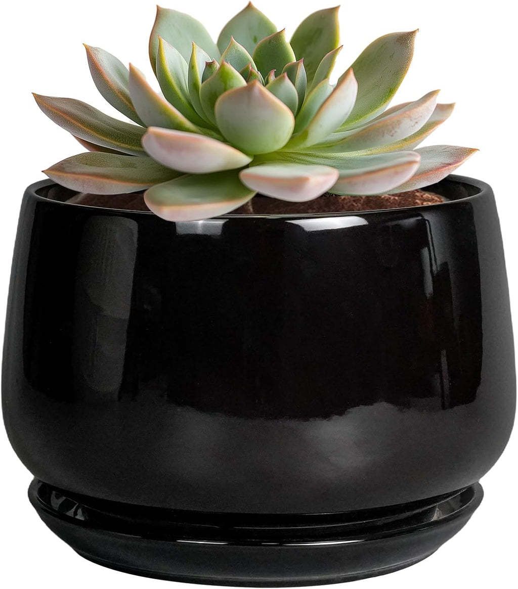 G EPGardening 6 Inch Planter - Ceramic Pot for Plants, Ceramic Planter with Drainage and Saucer, Round Flower Pot Indoor Outdoor, Modern Room Decor, Home Gifts, Black
