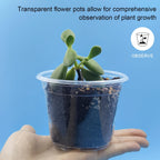 Clear Seedling pots 100-Pack 3.2 Inches Round for Seeds Starter Pots, Seeds Germination Transparent Clean Pots with Drainage Holes(100 Pcs, 3.14Inch)