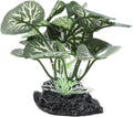 Aquarium Plastic Plants, Silk Aquarium Plants, Silk Plants for Betta Fish Tank, Plastic Plant Decoration for Aquarium, Green, Round Leaves, 3.94" Tall