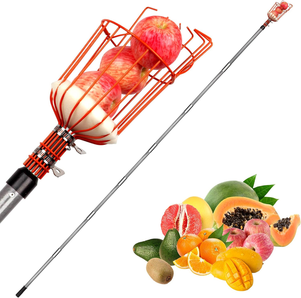 Walensee 23FT Fruit Picker, Adjustable Fruits Picker Tool with Fiberglass Pole, Big Basket and Storage Bag, Fruit Catcher Equipment Tree Picker for Lemons Apples Mango Orange Avocados Fruit Picking