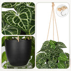 Large Fake Hanging Plants in Pot with Hook, 37" Artificial Hanging Pothos Long Vines Plants, Fake Potted Greenery Plant for Room Wall Living Room Bathroom Kitchen, Big Faux Ivy Houseplants for Shelf
