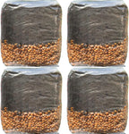 Mushroom Grow Kit - Magic All in One Mushroom Grow Bags - 4 Pack