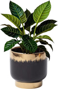 LB Black Gold Ceramic Planters for Indoor Plants, Succulent Plant Pots Ceramic Plant Pot, Modern Flower Pots for Living Room Office Home Decor, Round Flower Pot of 4.3 Inch(Plant Not Included)
