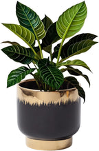 LB Black Gold Ceramic Planters for Indoor Plants, Succulent Plant Pots Ceramic Plant Pot, Modern Flower Pots for Living Room Office Home Decor, Round Flower Pot of 4.3 Inch(Plant Not Included)