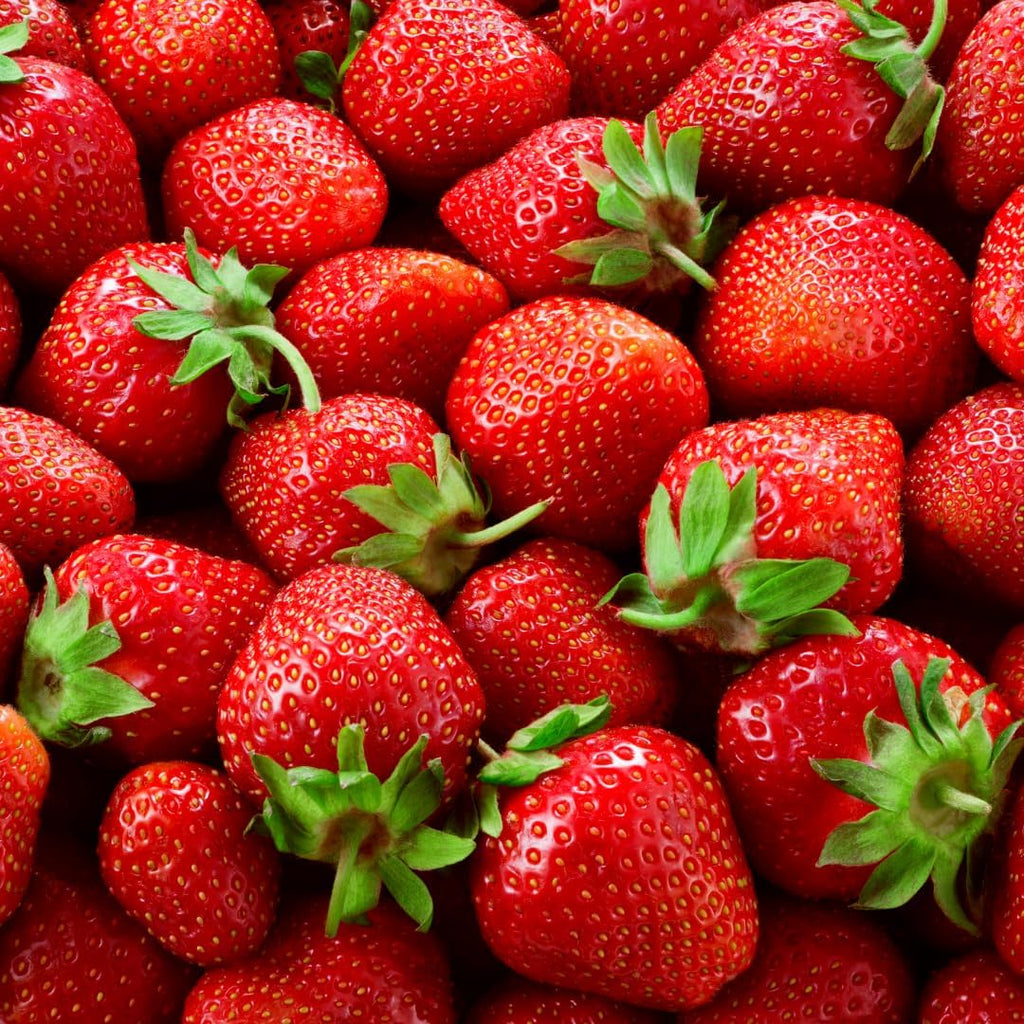 Albion Everbearing Strawberry Plants - Fruit Very Firm, Sweet, High Yields (20 Plants) Can Not Ship to California.