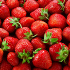 Albion Everbearing Strawberry Plants - Fruit Very Firm, Sweet, High Yields (20 Plants) Can Not Ship to California.