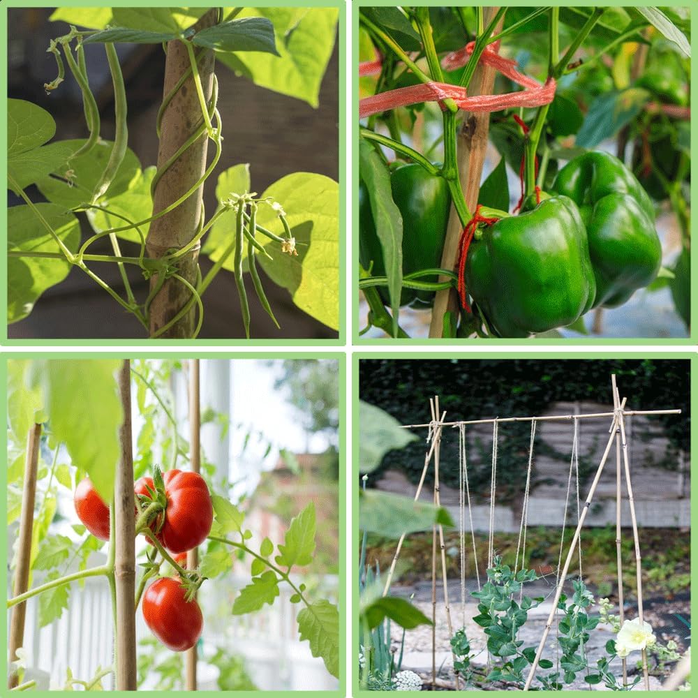 Bamboo Plant Stakes – 25pcs 4FT Natural Bamboo Garden Stakes for Tomatoes, Peppers, Beans, Indoor & Outdoor Plants, Sturdy Plant Support for Seedlings & Potted Plants