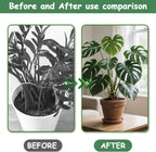 5PCS Iron Monstera Plant Support, Plant Stem Support, Turtle Shell Bamboo Clamp Set, Stable Plant Support Stakes for Indoor Plant, Ideal Present for Plant Lovers
