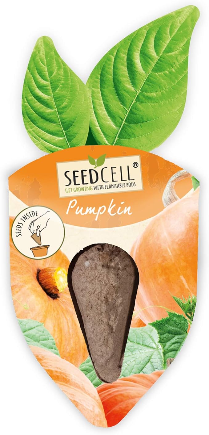 Vegtrug Seed Pods Kit - Vegetable Patch, Non-GMO Seeds with Fully Biodegradable Seed Pods, Contains Seeds of Broccoli, Zucchini, Pumpkin, and Butternut Squash, Pack of 1