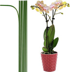 10-PCs 15-3/4" Plastic Coated Orchid Stakes for Plants Support, Bendable Orchid Support Stakes - Green