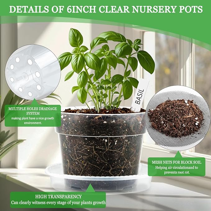 BTPLASTIK 6 Inch Clear Nursery Pots with Humidity Domes 15 Pack, Transparent Plastic Plant Pot with Drainage Holes and Saucers, Seed Starter Pots with 15 Pcs Plant Labels and 15 Pcs Soil Screens