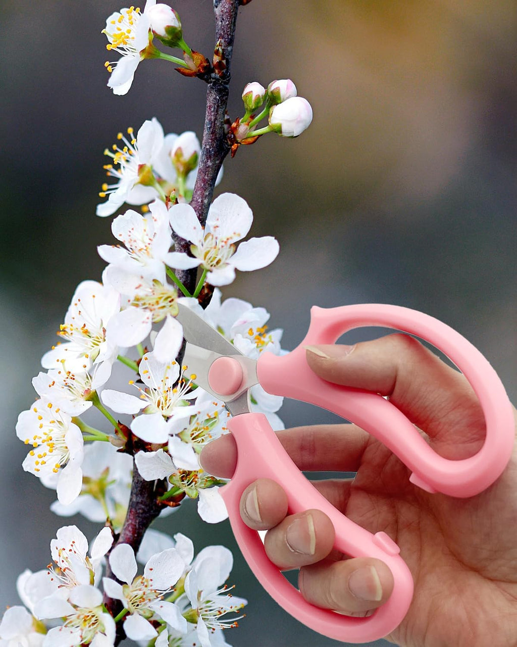 Pink Flower Scissors, Thickened Stainless Steel Floral Pruning Snips – Sharp Garden Clippers for Fresh Flowers, Flower Arrangement Supplies, DIY Floral Cutting Scissor (4 PCS Pink)