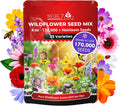 NatureZ Edge Wildflower Seeds Mix – 1/4 lb, 170,000 Seeds, 35 Variety Perennial & Annual Flower Seeds to Plant Outside, Bulk Wildflower Seeds, Wild Flower, Semillas de Flores