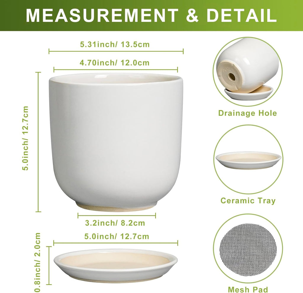 Indoor Plant Pot 5 Inch - Round Ceramic Planter for Succulent Plants with Drainage Hole and Saucer, Modern Home Decor, White
