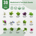 Organo Republic 30 Medicinal & Tea Herb Seeds Variety Pack 15,560+ Non-GMO Heirloom Garden Seeds for Indoor & Outdoors, Including Anise, Bergamot, Borage, Cilantro, Chamomile, Dandelion Seeds
