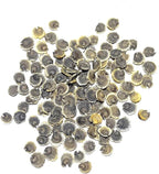 Seed Needs, Black Hollyhock Seeds - 100 Heirloom Seeds for Planting Alcea rosea - Great for Gothic Gardens, Open Pollinated Biennial that Attracts Pollinators (5 Packs)