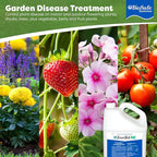 BioSafe Systems ZeroTol HC, Broad Spectrum Algaecide, Bactericide, and Fungicide, Peroxyacetic Acid, Kills Mold, Single 6200-1, 1 Gallon