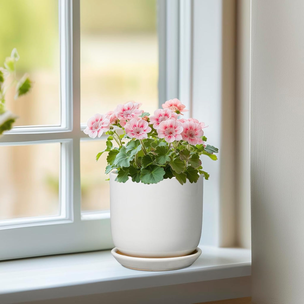 Indoor Plant Pot 5 Inch - Round Ceramic Planter for Succulent Plants with Drainage Hole and Saucer, Modern Home Decor, White
