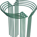 LEOBRO Plant Support, 8PCS Peony Cages and Supports, Plant Stakes for Indoor Plants, Outdoor Plants, Plant Holders, Tomato Monstera Hydrangea Support Cage, 10" W x 15.8" H