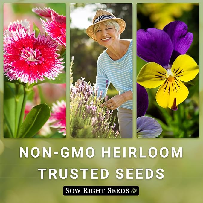 Sow Right Seeds - Dwarf Mixed Petunia Seeds to Plant - Full instructions for Planting and Growing a Flower Garden - Non-GMO Heirloom Seeds - Annual Hanging Basket Flower - Wonderful Gardening Gift (3)