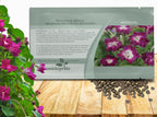 Outsidepride Sunrise Serenade Morning Glory Seeds - 100 Pcs. Annual, Climbing & Vining Flower Seeds for Planting Cerise & Purple Blooms, Ideal for Gardens, Trellises & Vertical Landscapes