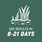 Pennington Kentucky 31 Tall Fescue Penkoted Grass Seed 7 lb