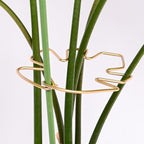 5.5 * 4.7IN Monstera Stem Support Stake with Clips - 5Pcs Durable Climbing Plant Support for Monstera, Fishbone Cactus, Easy Installation, for Plant Lovers