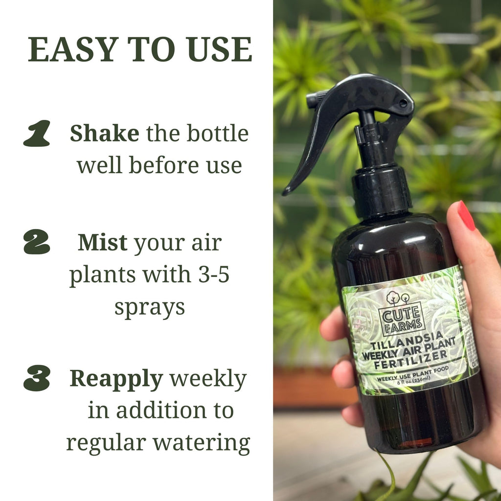 Cute Farms Tillandsia Air Plant Fertilizer | Gentle Weekly Use Formula Plant Food | Formulated Nutrients for Air Plants (8 oz. Spray Bottle)