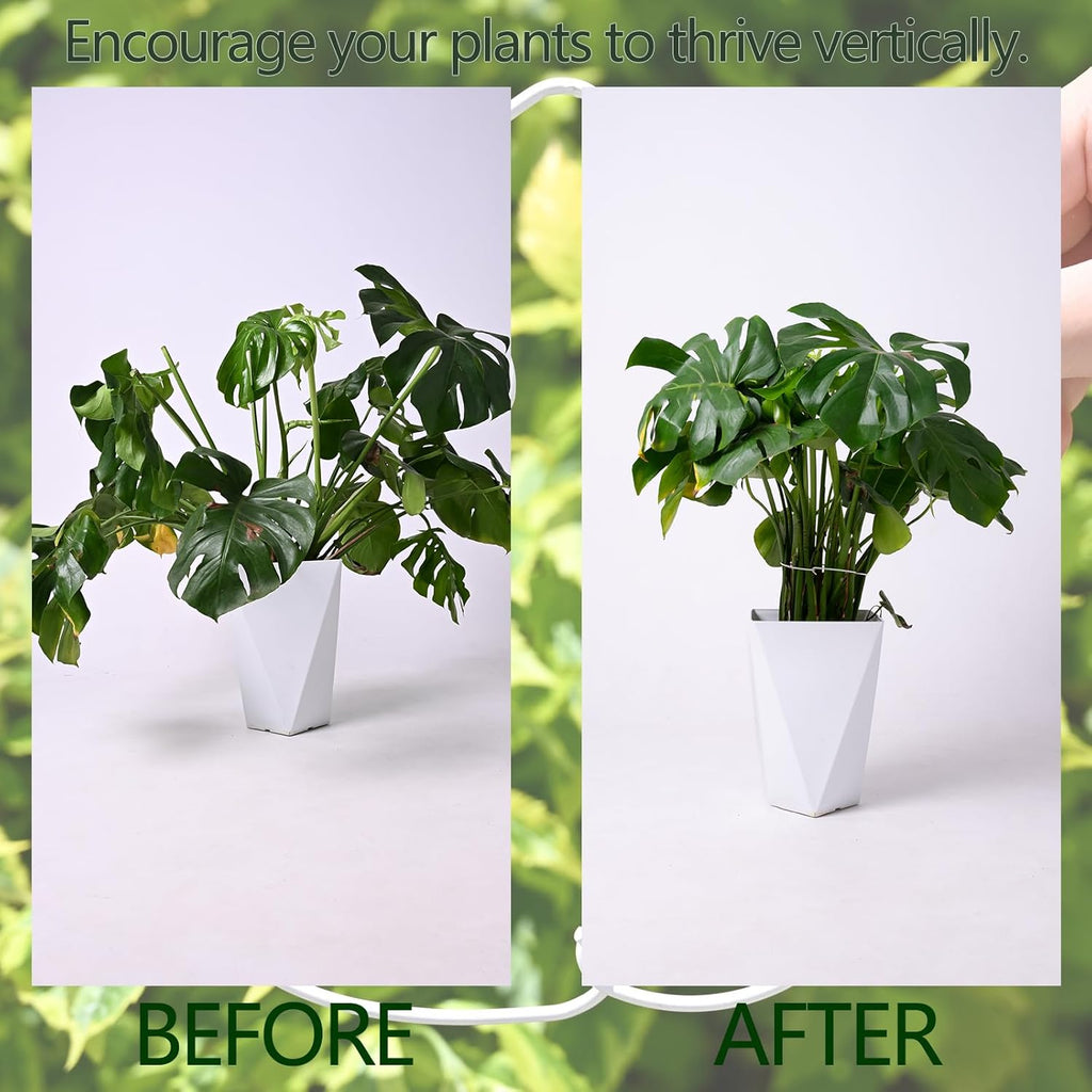 White Monstera Plant Stem Support - 5PCS 7.3x6.25in Durable Adjustable Garden Stake for Indoor Plants, Fishbone Cactus Holder, Innovative Leaf Clip Set, Ideal Tool for Healthy Plant Growth
