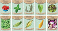 Vegetable, Flower, and Herb Seed Set - 10 Varieties of Non-GMO and Heirloom Premium Seeds for Planting - Rosemary, Mixed Greens, Cucumber, & More!