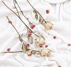 Velvet Table Runner 20 x 120 Inches 10ft Luxurious Thick Soft Velvet Christmas Thanksgiving Wedding Reception Table Runner for Party Reception Decorations(Ivory, 1 Pack)