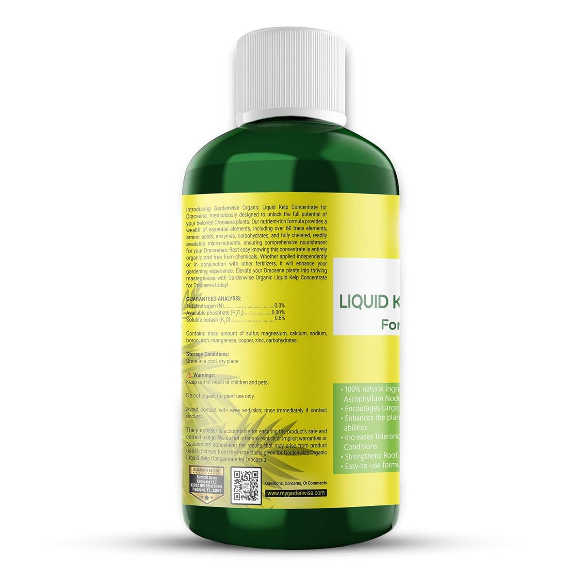 Liquid Kelp Fertilizer: Premium Dracaena Fertilizer - Plant Food for Dracaena - Organic Seaweed Fertilizer for Robust Growth (32 OZ)