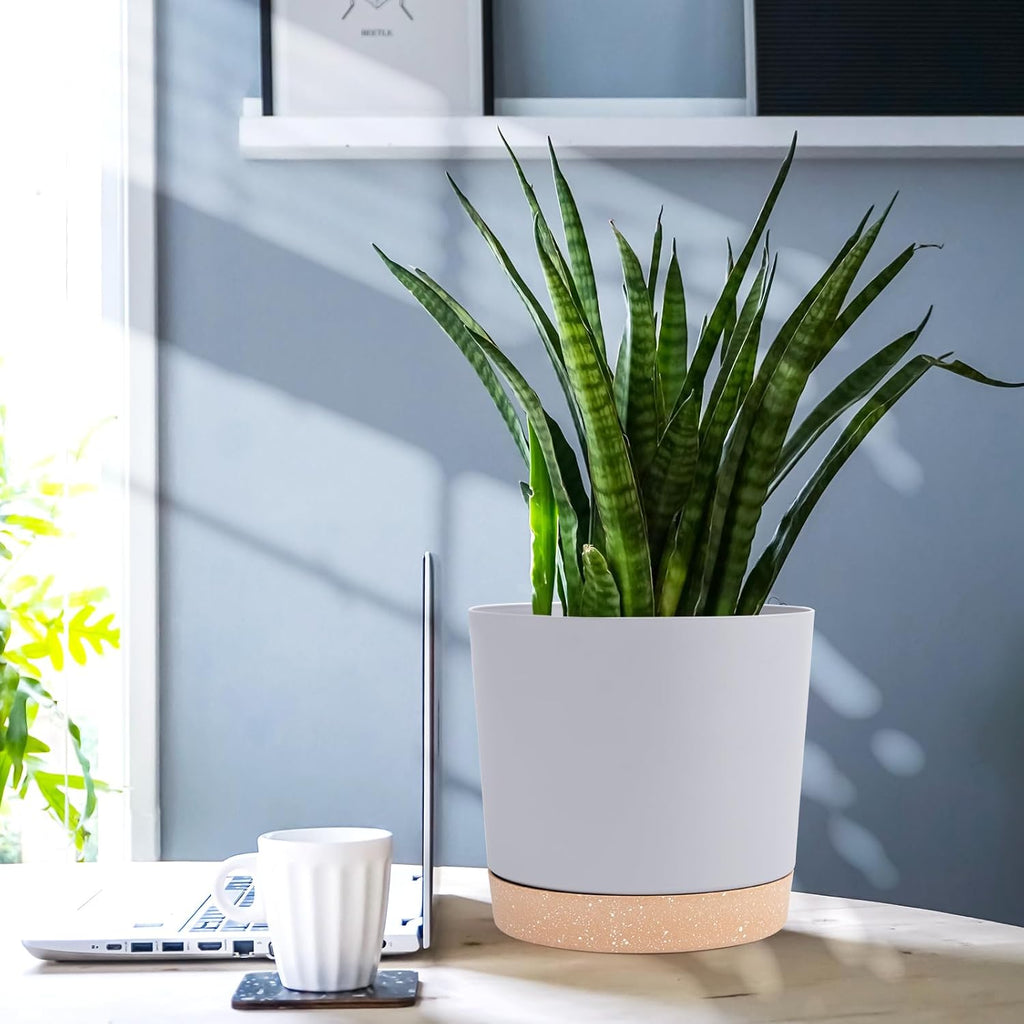 QCQHDU 6.5 inch Plant Pot, 2 Pack Planters for Indoor Plants with Drainage Holes & Saucer, Outdoor Flower Pots Home Garden Modern Decor