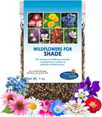 BBB Seed Partial Shade Wildflower Seeds - 1 oz Packet, Open-Pollinated Wildflower Seed Mix, No Fillers, Annual, Perennial Wildflower Seeds for Planting Year Round - 1 oz
