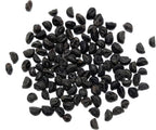 Seed Needs, Grandpa OTT Morning Glory Seeds - 100 Heirloom Seeds for Planting Ipomea purpurea - Annual Blue/Violet Blooms, Flowering Vine for a Natural Privacy Fence (1 Pack)