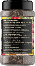 Mini Wildflower Seed Shaker – Honey Bee Wildflower Mix, by GevaGrow | Bulk 90,000+ Seeds | Pollinator Bee Attracting Flower Seeds for Planting in Pots & Outdoor Gardens | No Messy Packets