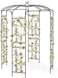 Happygrill Birdcage Shape Garden Arbor, 9.4 x 6.8FT Heavy Duty Gazebo with Hanging Hook for Climbing Plants, Outdoor Arch Pergola Pavilion for Wedding Party Ceremony Decoration