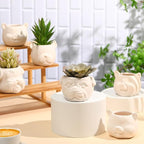 Hushee 12 Sets Ceramic Succulent Planters Paintable Succulent Plant Pots Small DIY Figurines Unpainted Pots with Drainage Hole Color Paints Paintbrushes Palettes