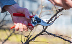 – Professional Bypass Hand Pruning Shears – Durable, Heavy Duty, Landscaping Secateurs/Scissors/Clippers-Trim your Garden, Rose Bushes, Gardenias and Outdoor Hedges
