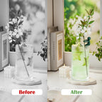 3pcs Plant Propagation Buddy, Propagated Plant Holders,Plant Stem Support,Plant Support for Shoots,Cuttings,Sprouts of Plant Propagation Station & Indoor Garden,Gifts for Plant Lovers